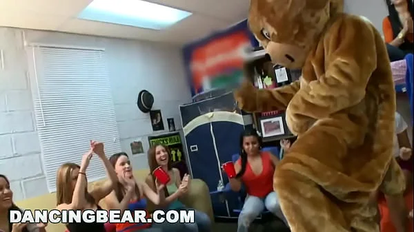 DANCING BEAR - Everyone's Favorite Mascot Invades Dorm And Swings Dick For Horny Sorority Sluts